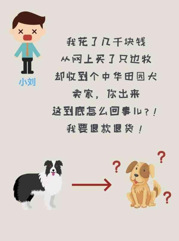u=1902218926,2630149834&fm=173&app=49&f=JPEG.jpg u=1902218926,2630149834&fm=173&app=49&f=JPEG.jpg