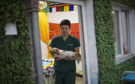 TIM截图20190322100238.png TIM截图20190322100238.png