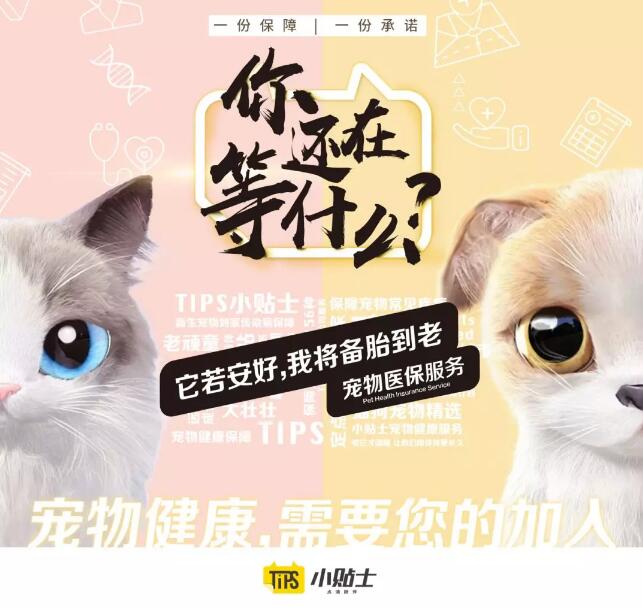 QQ截图20190404101607.jpg