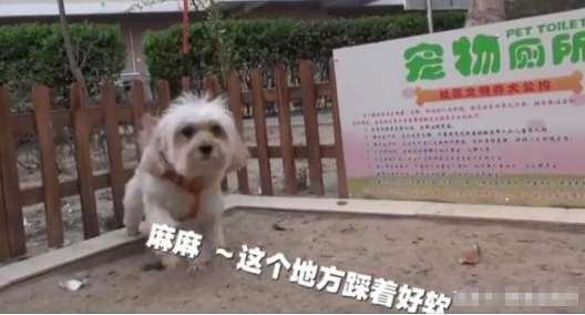 TIM截图20190415143457.png TIM截图20190415143457.png