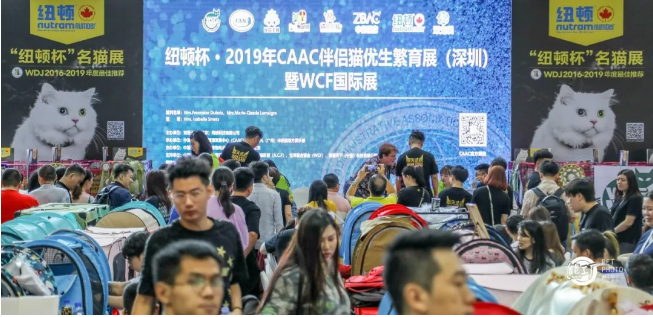 TIM截图20190506120724.png