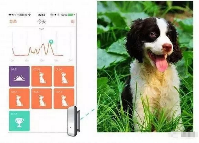 TIM截图20190311143642.png TIM截图20190311143642.png