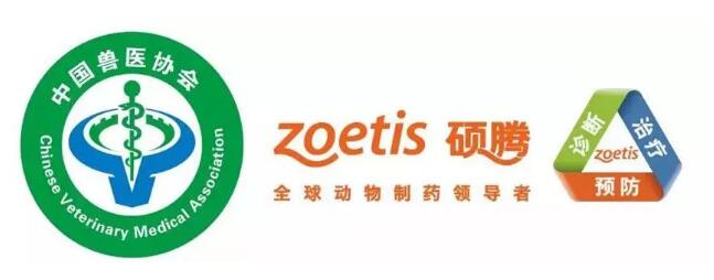 QQ截图20190404110223.jpg QQ截图20190404110223.jpg